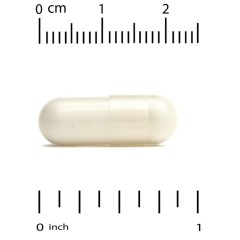 California Gold Nutrition, EuroHerbs, экстракт эхинацеи, качество Euromed, 80 мг, 180 растительных капсул